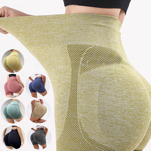 ZorFit SculptFlex Seamless Yoga Shorts